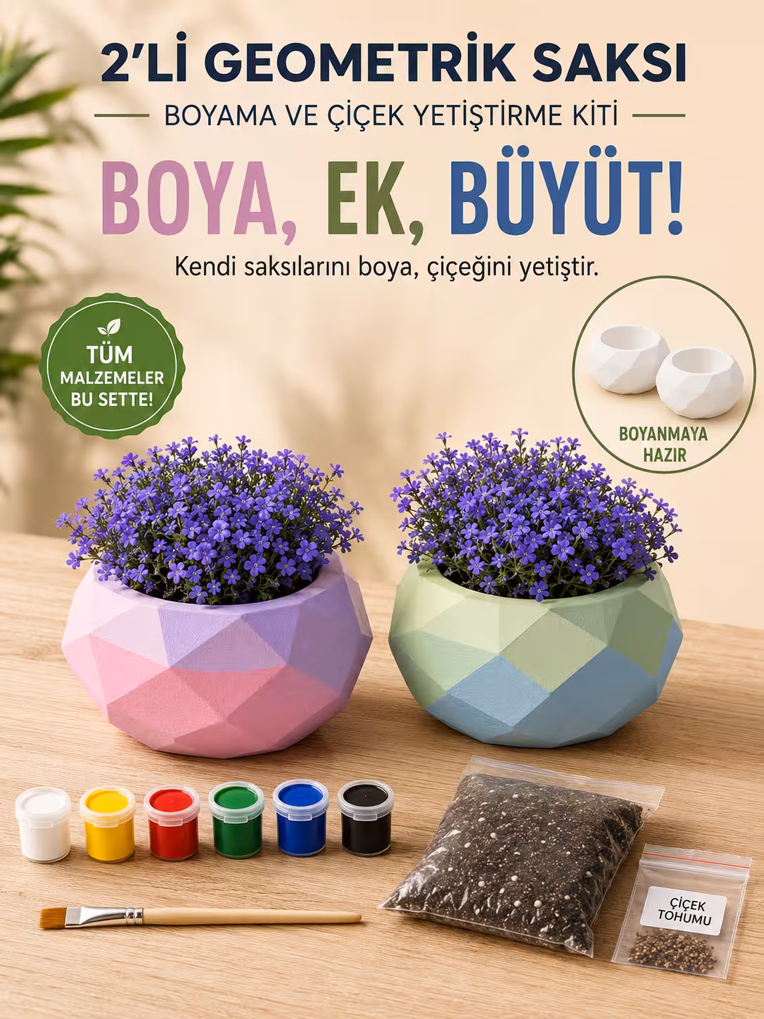 Çiçek Yetiştirme Kiti 2'Li Geometrik Saksı