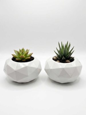 Geometrik Saksı Seti Çiftli Dekoratif Çiçeklik Genel