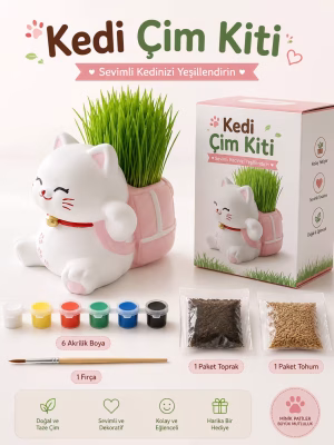 Kedi Çim Yetiştirme Kiti - Aktivite Seti