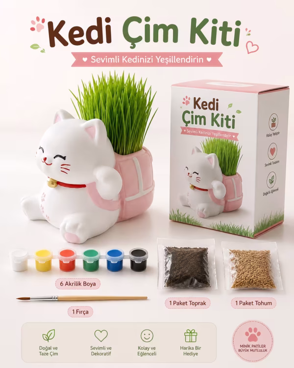 Kedi Çim Yetiştirme Kiti