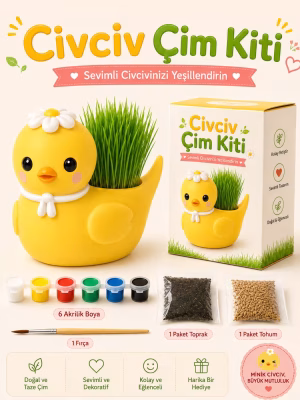 Sevimli Civciv Çim Yetiştirme Kiti