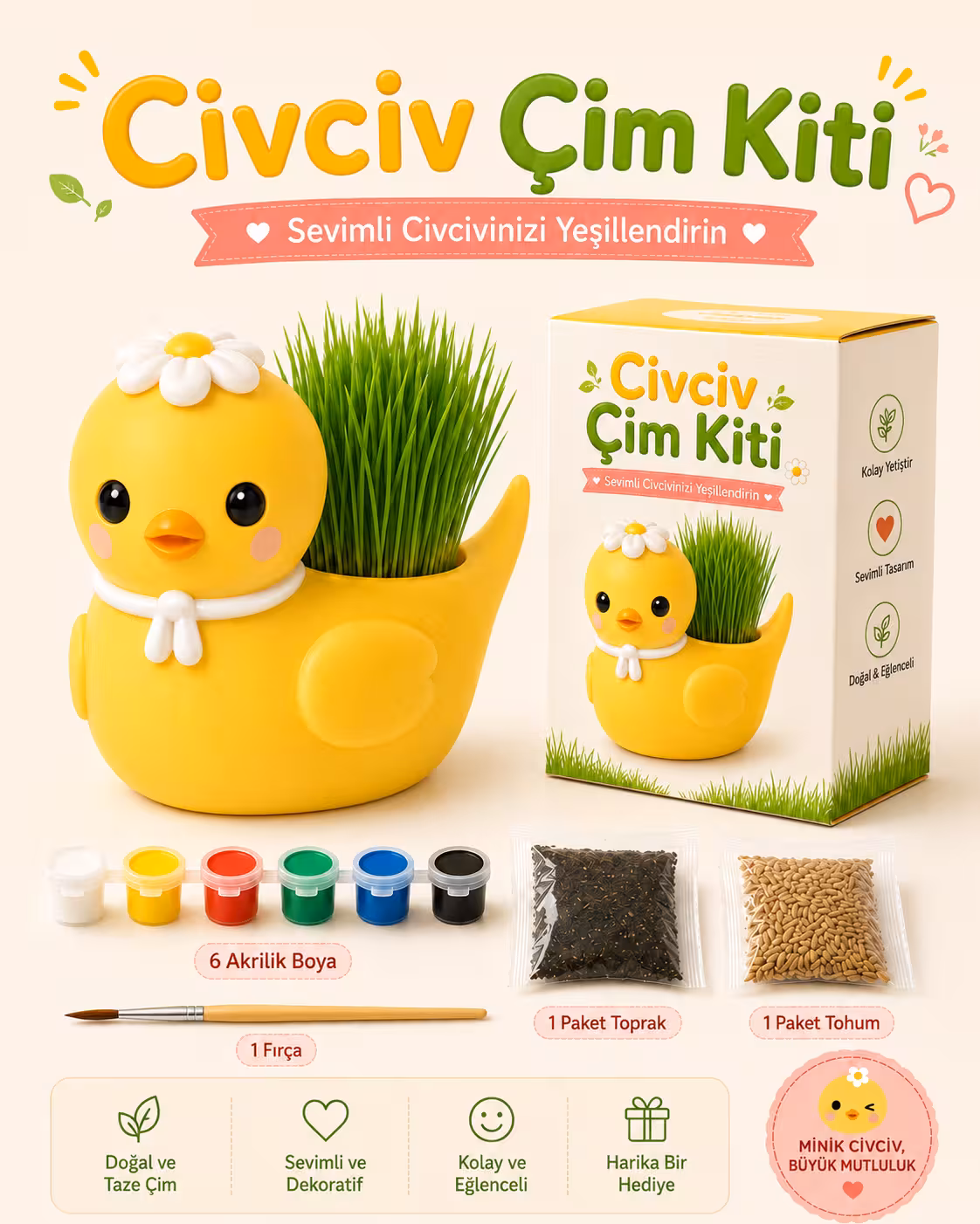 Sevimli Civciv Çim Yetiştirme Kiti