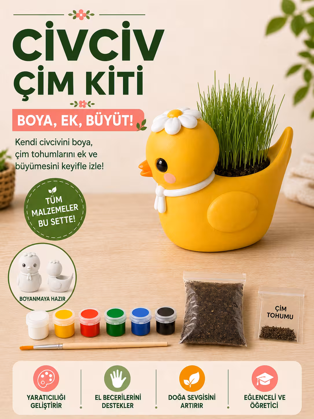 Sevimli Civciv Çim Yetiştirme Kiti - Görsel 2