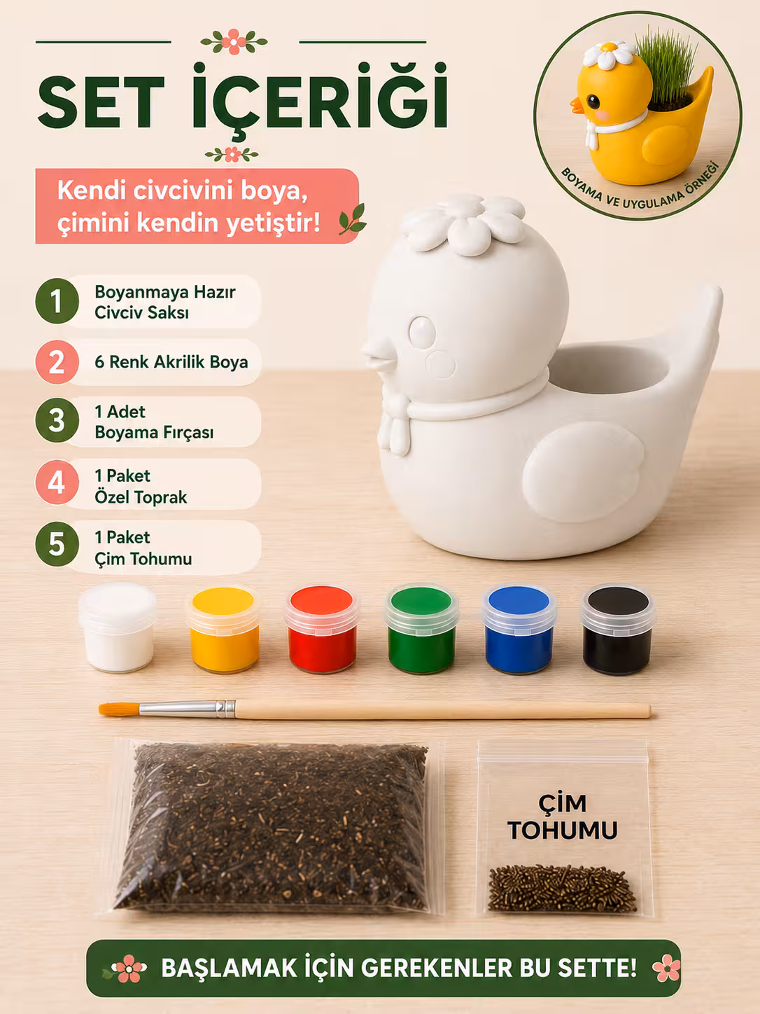 Sevimli Civciv Çim Yetiştirme Kiti - Görsel 5